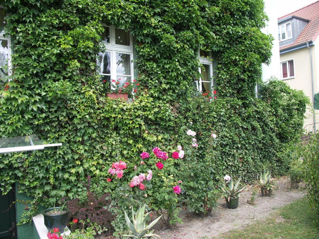 3 Sterne Hotel Frankfurt-Oder Zur Alten Oder Frankfurt  Kültér fotó