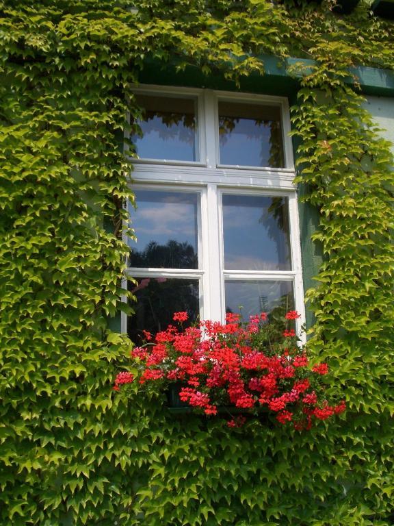 3 Sterne Hotel Frankfurt-Oder Zur Alten Oder Frankfurt  Kültér fotó
